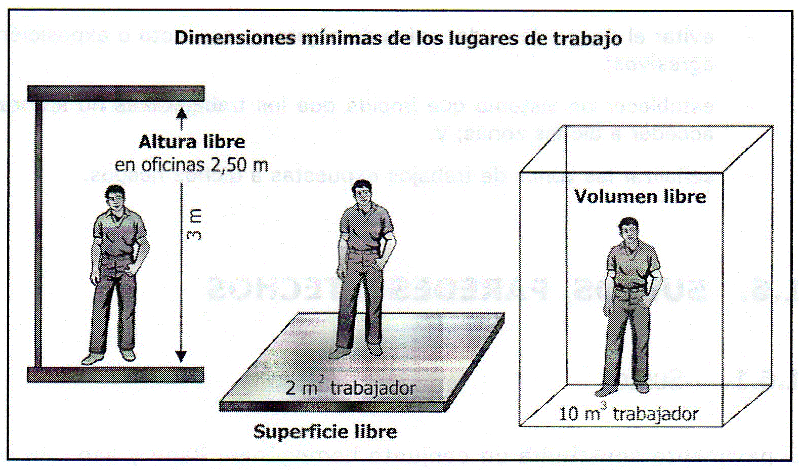 dimensiones