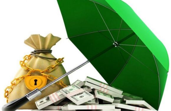 Fomentar la rentabilidad con la Protección de Activos
